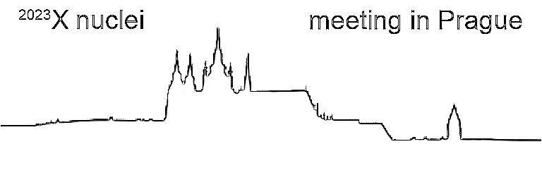 X-nuclei User meeting 2023