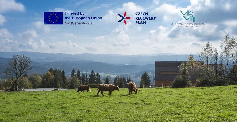 “Development of Diagnostic and Therapeutic Molecular Probes for Magnetic Resonance and Optical Imaging". 