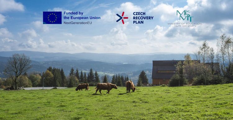 “Development of Diagnostic and Therapeutic Molecular Probes for Magnetic Resonance and Optical Imaging". 