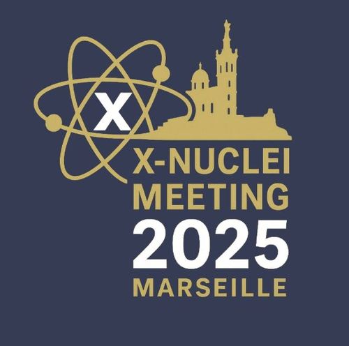 X-nuclei User Meeting 2025